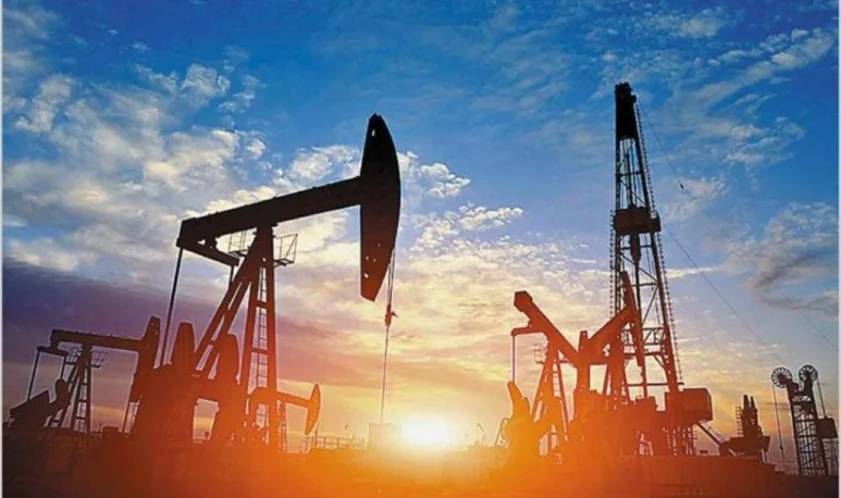 Insumos Empresas Petroleras